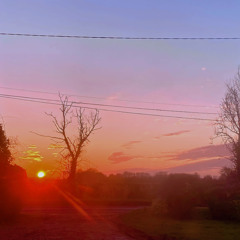 New Vortex Jungle D&B