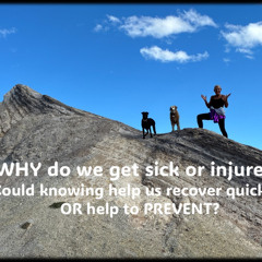 Do we get sick or injured for a reason