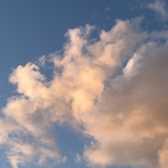 くぬぎ