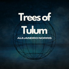 Trees of Tulum