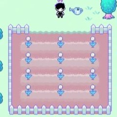 OMORI - A Home for Flowers(Tulip) (Kalimba Cover)