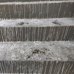 discontented winter