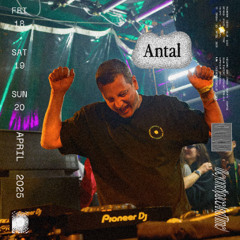 RDC 086 - Antal at Rainbow Disco Club 2025
