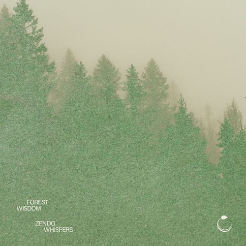 Forest Wisdom