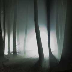 Widars Spiritual Front - Doors of the Underworld