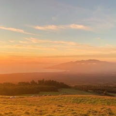 desideri [PATREEEON EXCLUSIVEEEE]