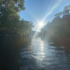 Drop Cord - Ginnie Springs live [Ace Talisman & Tree Gong] [05-07-24]