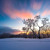 Artwork for IN THE WHITE HOURS vi Morning at Last