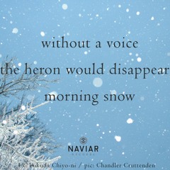 haiku #459: without a voice / the heron would disappear – / morning snow
