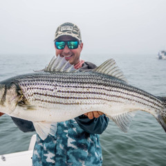UMass Saves Striped Bass