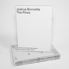 The Pines III Autumn