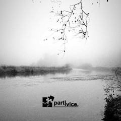 Foggy Future - mixed for partvice