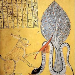 Dradi - No Warning ft Richie Rich Riche$