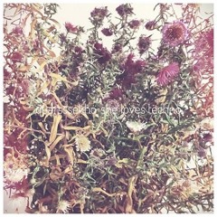 QuarsssEkho - She Loves Techno