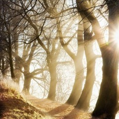 Za branou...II.