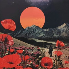 Afro House Mo Set For You