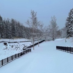 Snowy Christmas Days