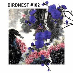 BIRDNEST # 102 / Alone In The Vast Emptiness That Is