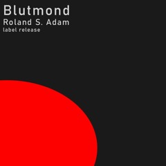 Blutmond (30HZ Edit) - Roland S. Adam