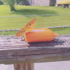 thoughts (prod. vinogradov)