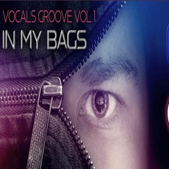 VOCALS GROOVE VOL 1. IN MY BAGS Mixed & Compiled Feelinger Aka MoN