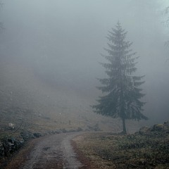 Everything You Love Will Be Swept Away