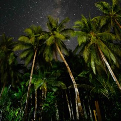 Redda - Kesha (Snippet) (wh1sper, nika, cuvie)