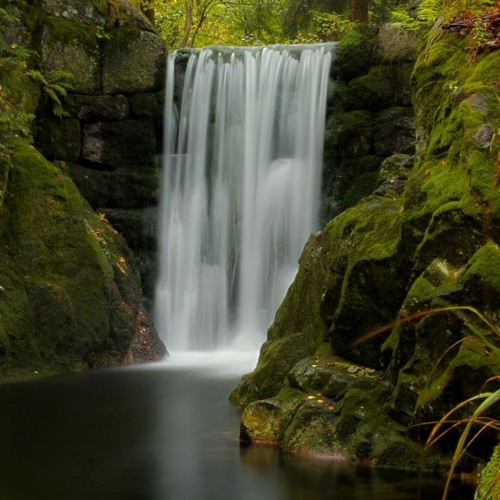 الحمدلله لا شَكوى ولا ضرر ❤️