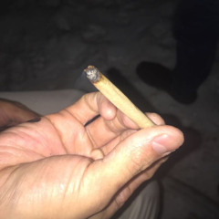 what are you looking for?