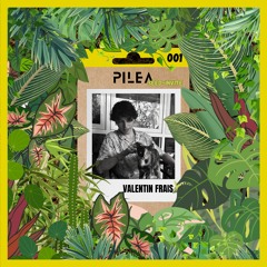 PILEA Seed-Invite O1 - DJ Valentinos