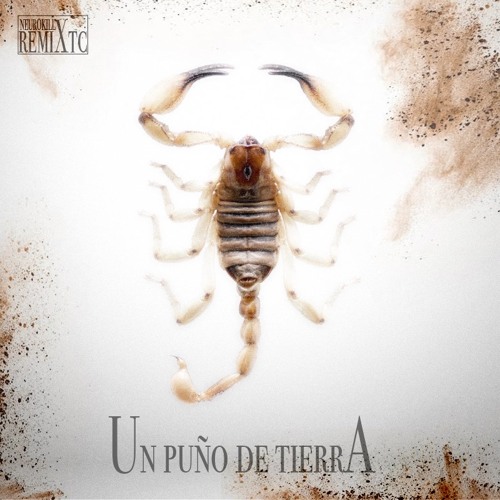 Un Puño De Tierra (Remix)