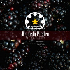 Ricardo Piedra - Blackberry (Alberto Sainz & Idan Gerber Remix)