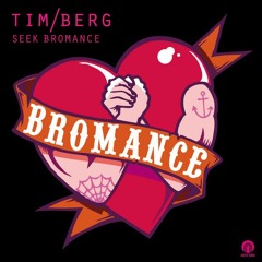 Tim Berg - 'Seek Bromance' (A.M.G Bootleg)