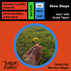 Summer Laundry / Sommartvätten Mixtapes #4 - Slow Steps with André Taylor