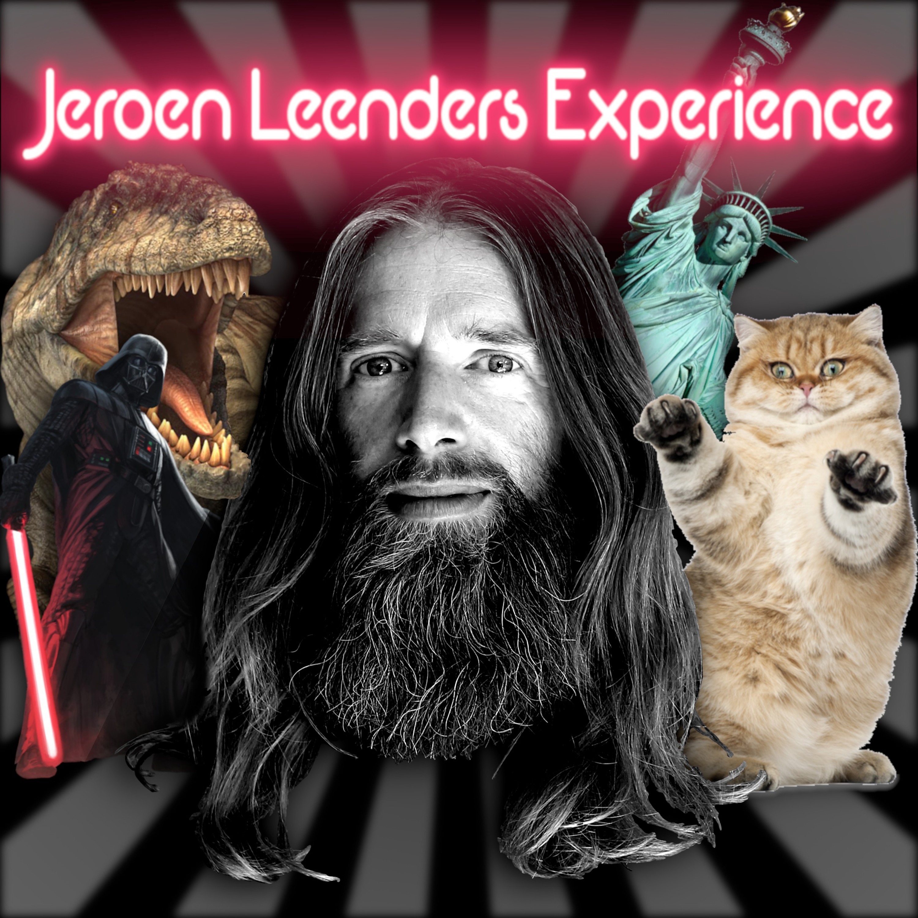 Jeroen Leenders Experience