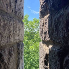 Opening Set for Polygonia 0225