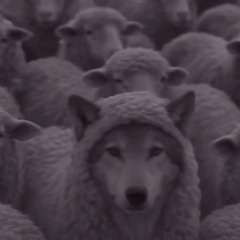 wakeup