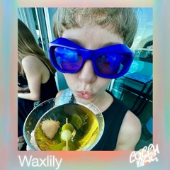 LB003: Waxlily Live @ The Abercrombie 23 September 2023