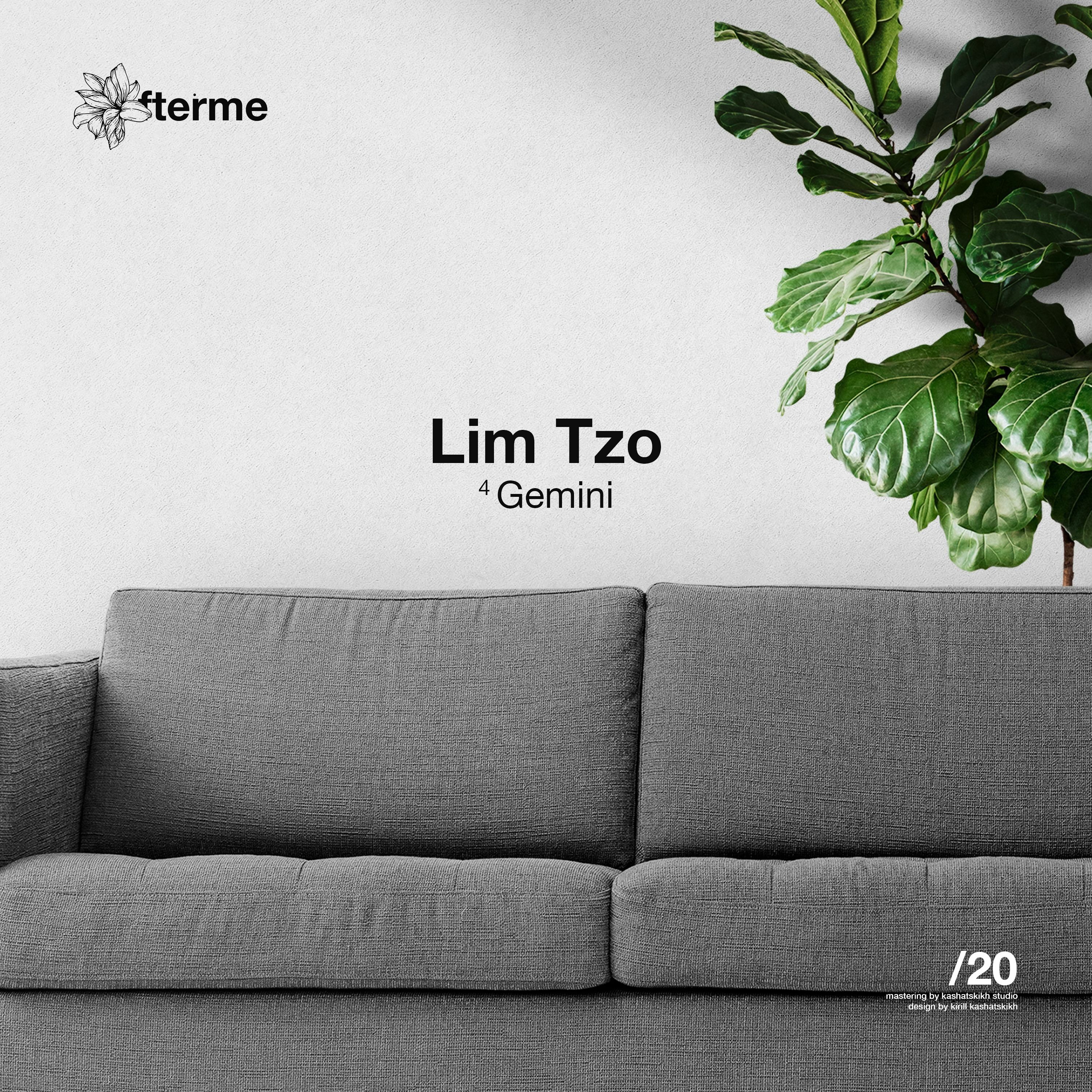 Lim Tzo - Gemini (Original Mix) episode artwork