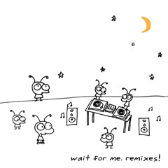 Wait For Me (Paul Kalkbrenner Remix)