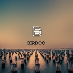Birdee Summer 2024 Mixtape