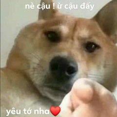 Nói Thương Nhau Thì Đừng Làm Trái Tim Em Đau - HOT TikTok