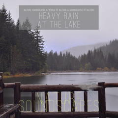 Relaxing Rain at the Lake Sound