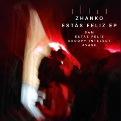 ZHANKO -Estás Feliz