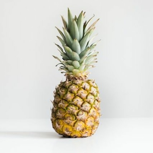 [#252] Pineapple Exhibit