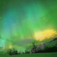 Aurora Veil