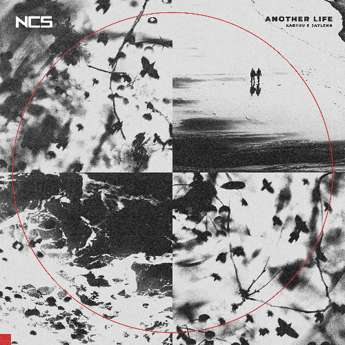 Karyuu & jaylenn - Another Life [NCS Release]