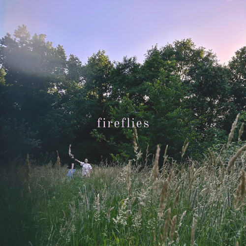 fireflies