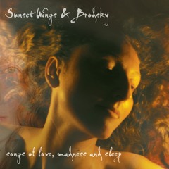 A Funeral, in My Brain