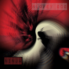 Ninja (prod. by level)